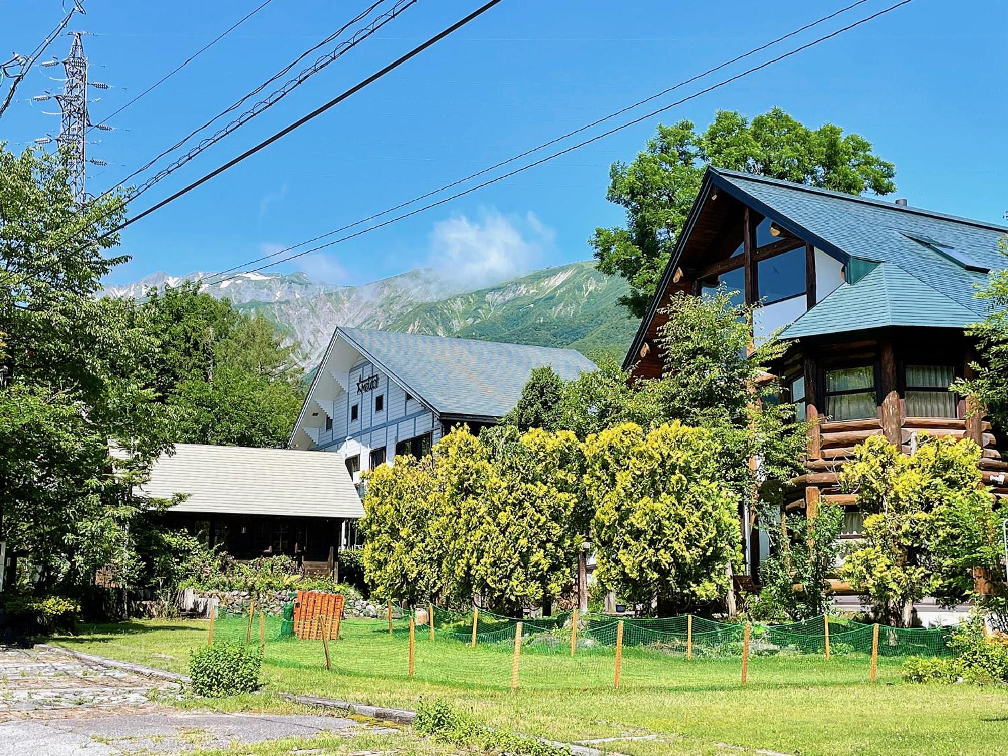 Hakuba Pension&Log Hotel Meteor Eksteriør billede