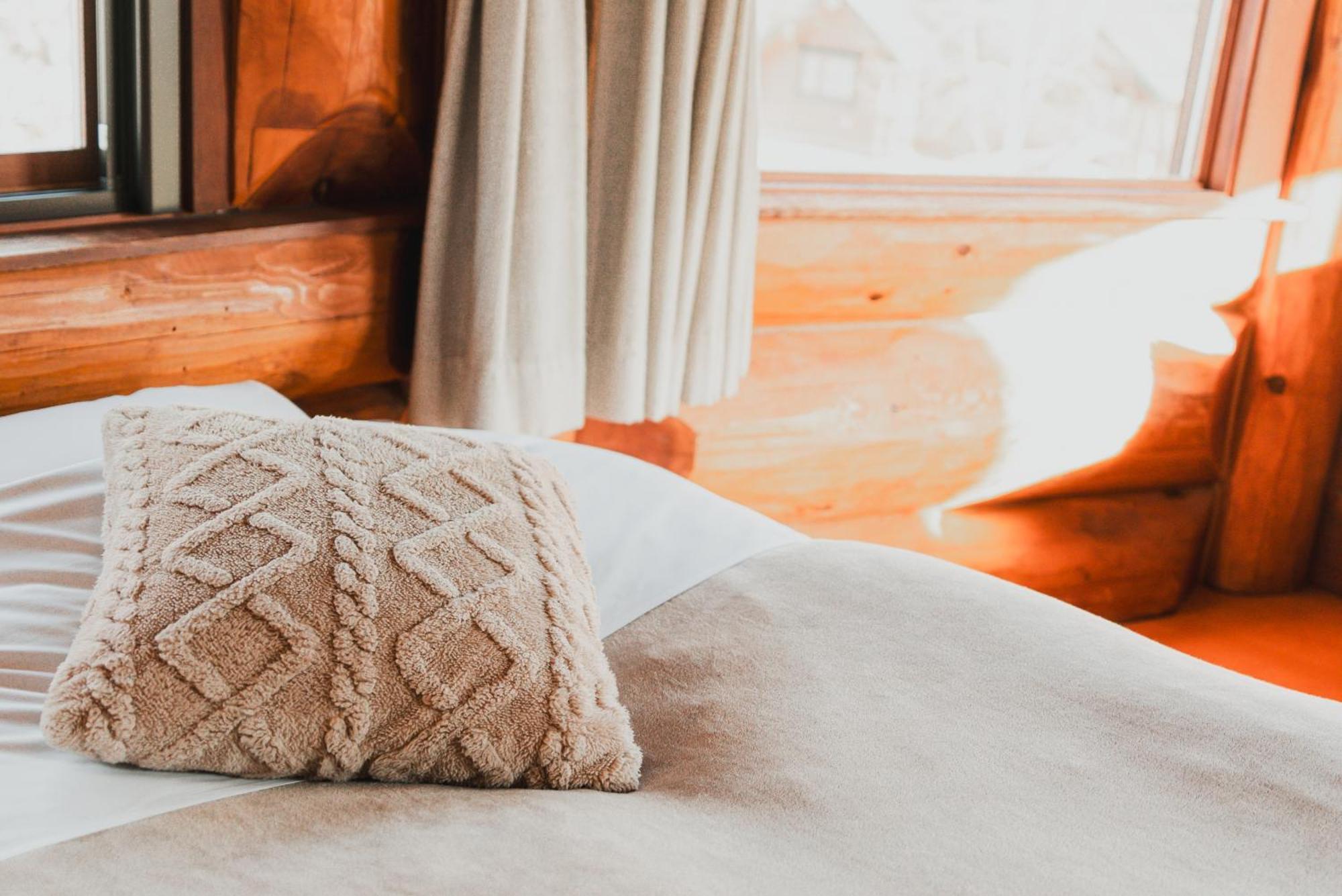 Hakuba Pension&Log Hotel Meteor Eksteriør billede